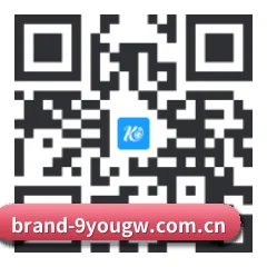 iOS 苹果生态原生版 二维码
